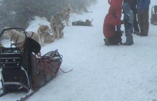  Mushing en Auvernia